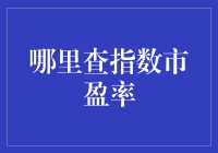 投资者必备：高效精准查询指数市盈率的渠道与方法