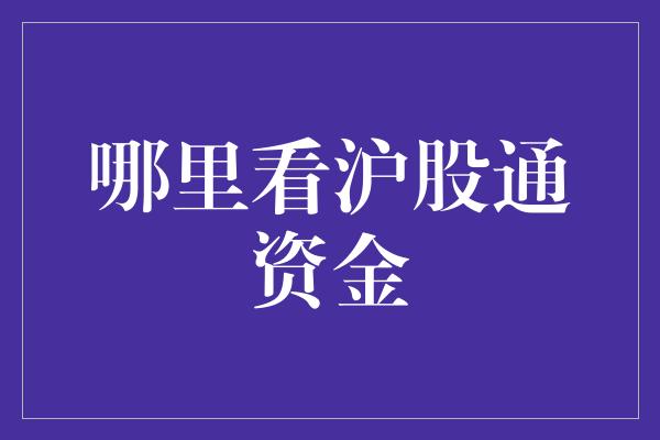 哪里看沪股通资金