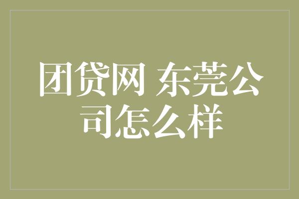 团贷网 东莞公司怎么样