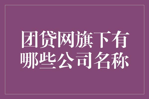 团贷网旗下有哪些公司名称