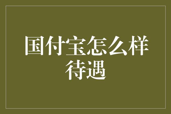 国付宝怎么样待遇