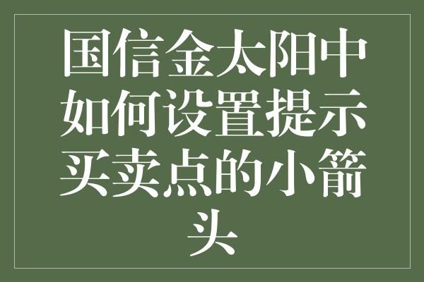 国信金太阳中如何设置提示买卖点的小箭头