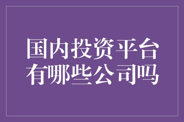 国内投资平台有哪些公司吗