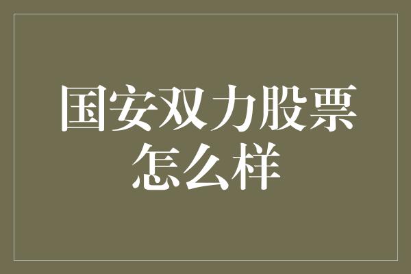 国安双力股票怎么样