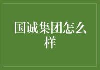 国诚集团：探索在月亮背面的神秘企业