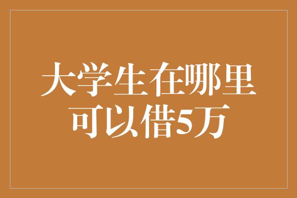 大学生在哪里可以借5万