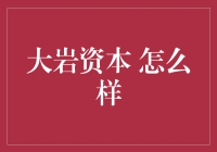 大岩资本：让我们一起体验投资的另一种心跳