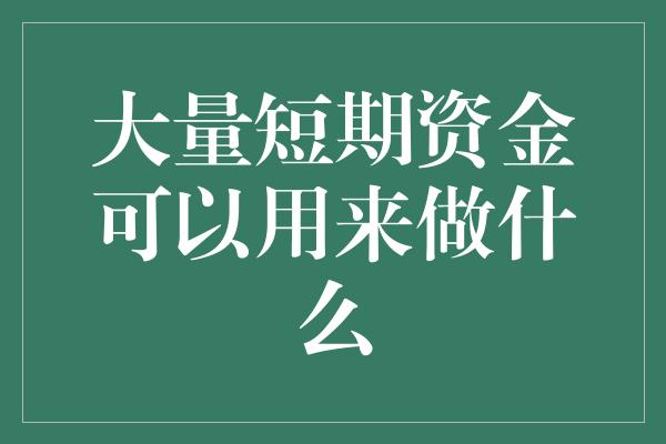 大量短期资金可以用来做什么