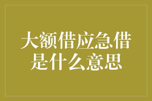 大额借应急借是什么意思