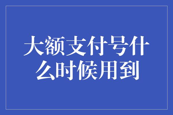 大额支付号什么时候用到