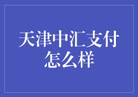 天津中汇支付：支付行业中的隐形冠军