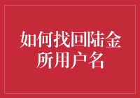 陆金所用户名找回策略：确保账户安全与高效操作的关键步骤