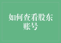 如何用智商和勇气查看股东账号：一份勇敢者的指南