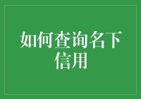 如何查询名下信用：一场冒险之旅