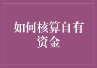 如何在财务崩盘前保持自己的小金库：一份轻松幽默的自有资金核算指南