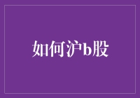 沪B股市场投资策略与风险控制：构建稳健投资组合