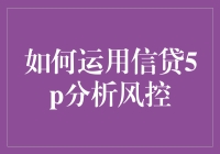 如何运用信贷5P分析模型进行风险控制：从理论到实践