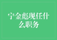 揭秘宁金彪：他的最新动向与影响力