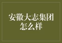 安徽大志集团？那是啥玩意儿？