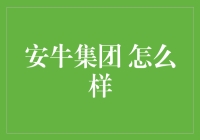 安牛集团：一家正在崛起的金融科技巨头？