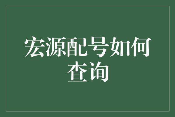 宏源配号如何查询