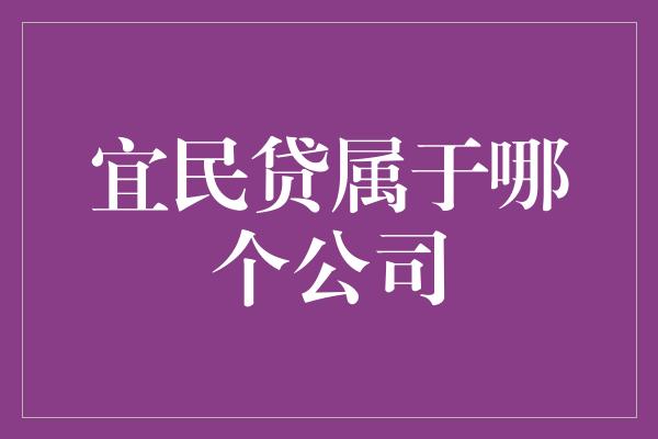 宜民贷属于哪个公司