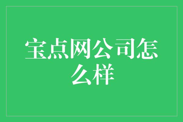 宝点网公司怎么样