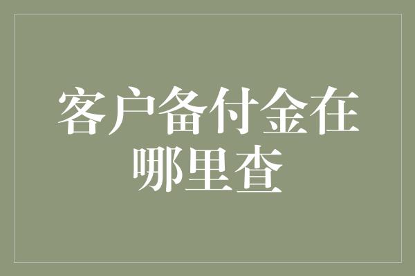 客户备付金在哪里查