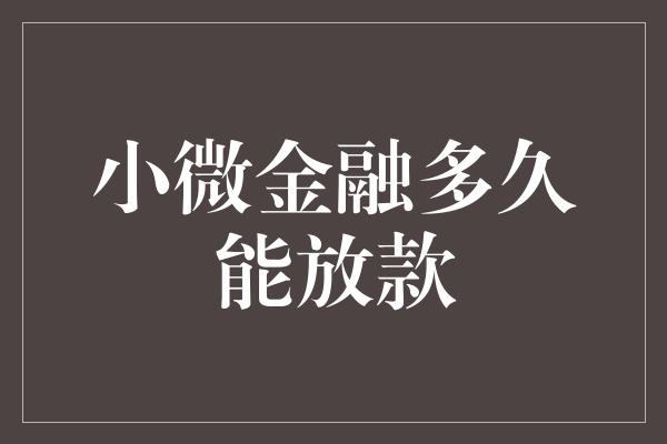 小微金融多久能放款