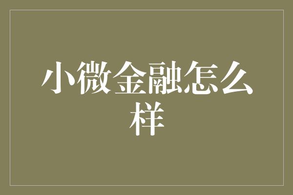 小微金融怎么样