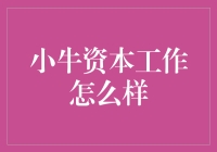 小牛资本的工作体验报告：从新人到老油条的奇幻之旅