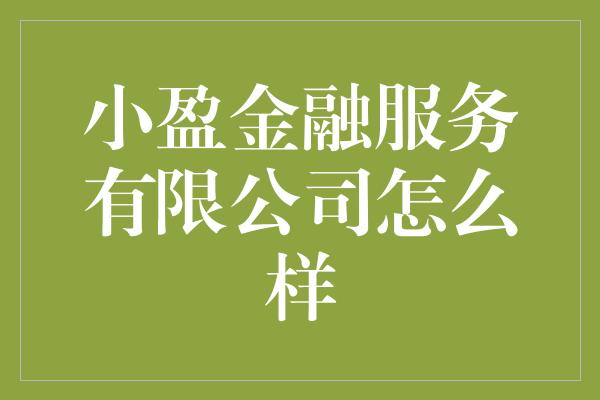 小盈金融服务有限公司怎么样