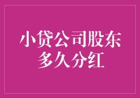 小贷公司股东多久分红：策略解析与财务规划