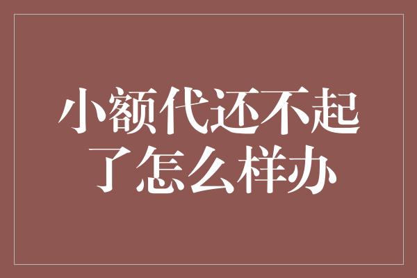 小额代还不起了怎么样办