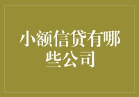 小额信贷公司行业调研：从国际巨头到本土新星