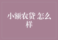 小额农贷：乡村经济的小火花还是烫手山芋？