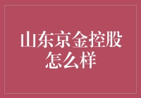 山京东金控股：引领山东企业走向资本市场的领航者