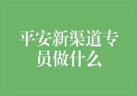 平安新渠道专员是干什么的