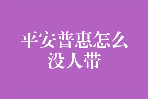 平安普惠怎么没人带