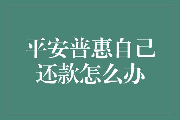 平安普惠自己还款怎么办