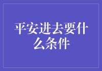 平安进入新世纪：数字时代下的信息安全条件