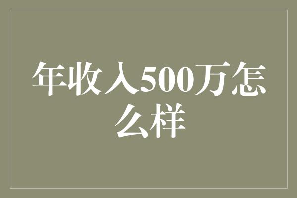 年收入500万怎么样