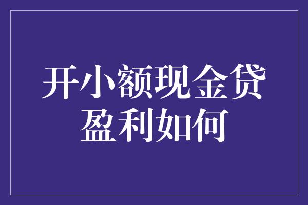 开小额现金贷盈利如何