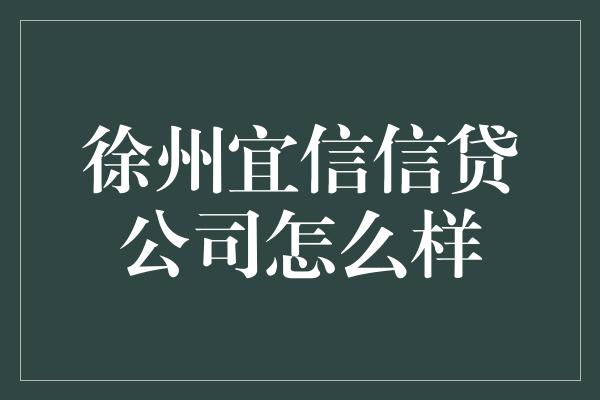 徐州宜信信贷公司怎么样