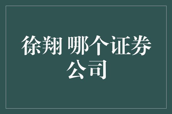 徐翔 哪个证券公司