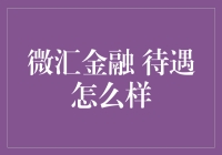 微汇金融：金融科技领域的待遇探索