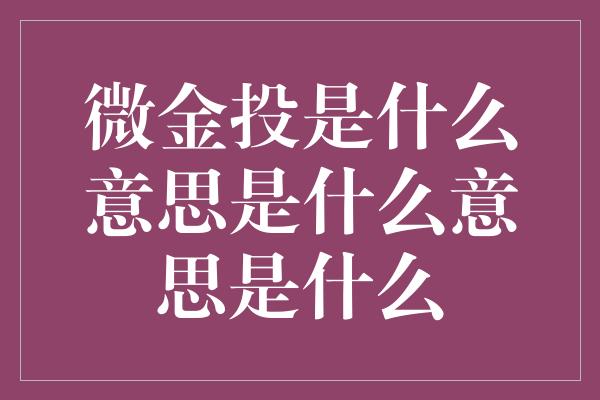 微金投是什么意思是什么意思是什么