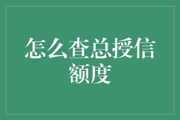 怎么查总授信额度