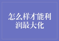 利润最大化：策略、实践与挑战