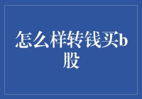 如何用一元买下整个股市：转钱买B股指南